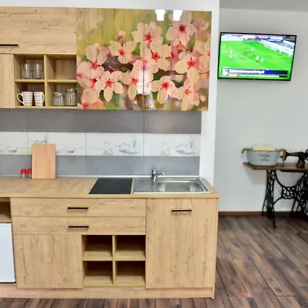 Apartment Flh - Sibiu