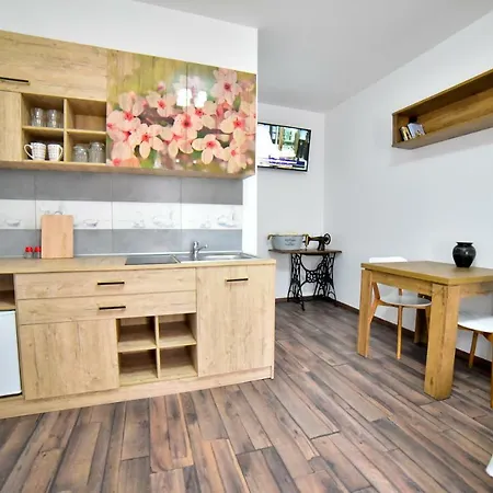 Apartment Flh - Sibiu